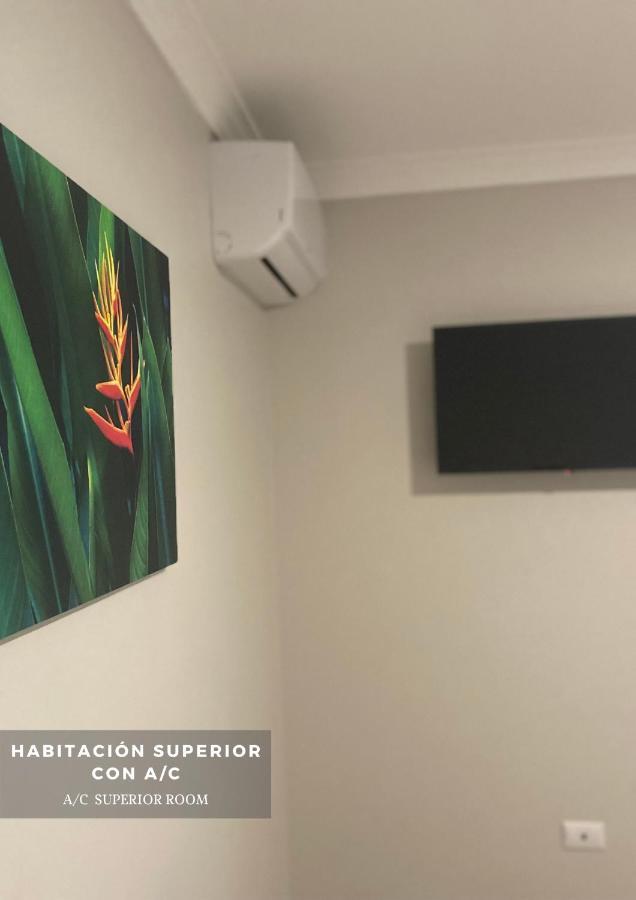 Hotel San Isidro San Isidro De El General 外观 照片